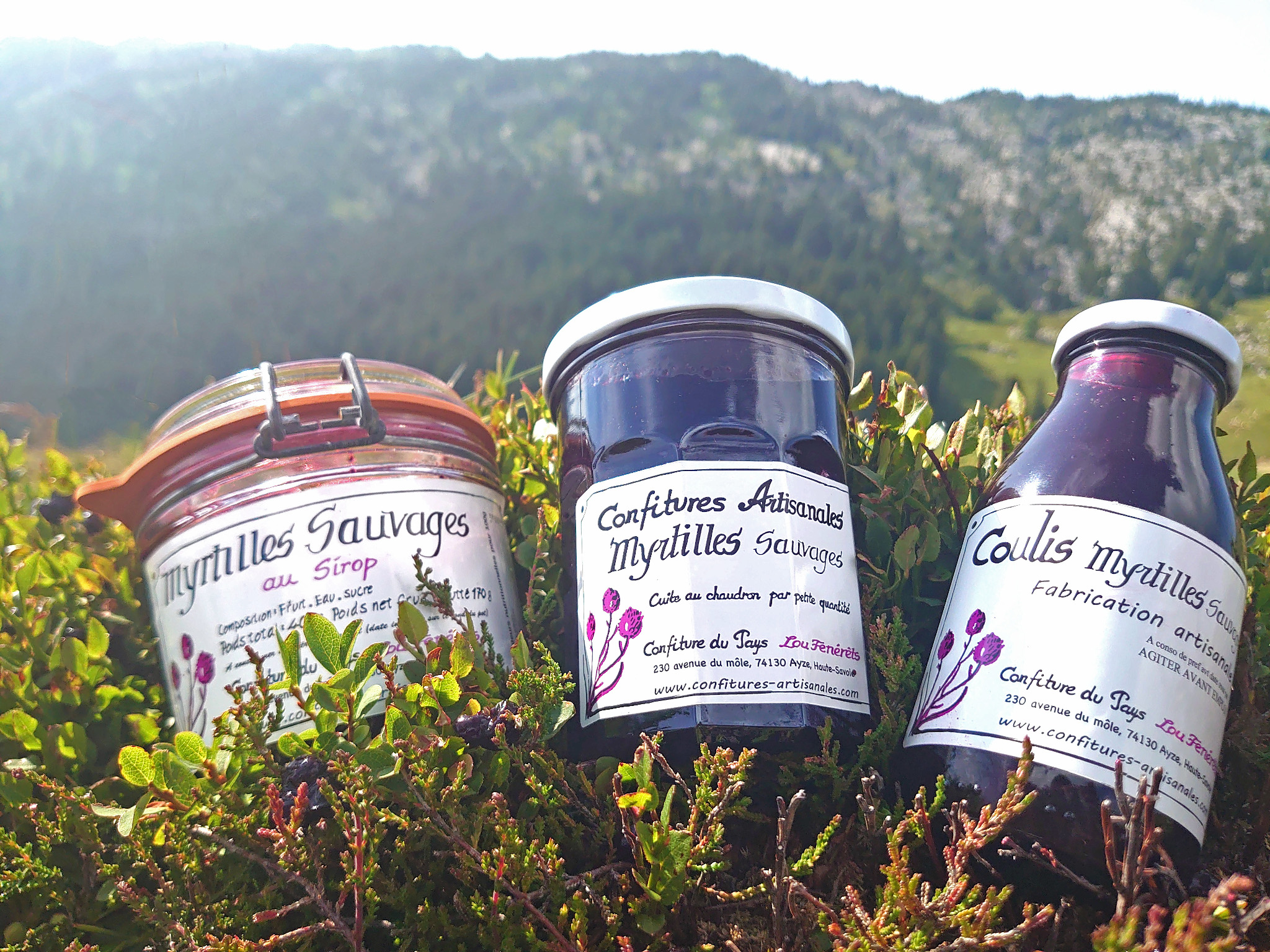 Confiture de Groseille ou Myrtille - alsa - depuis 1897